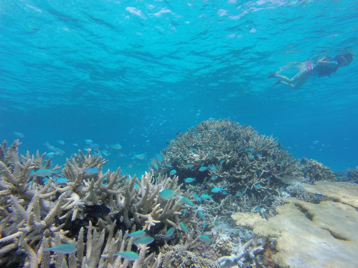 Sevinex Inn Feridhoo Kültér fotó