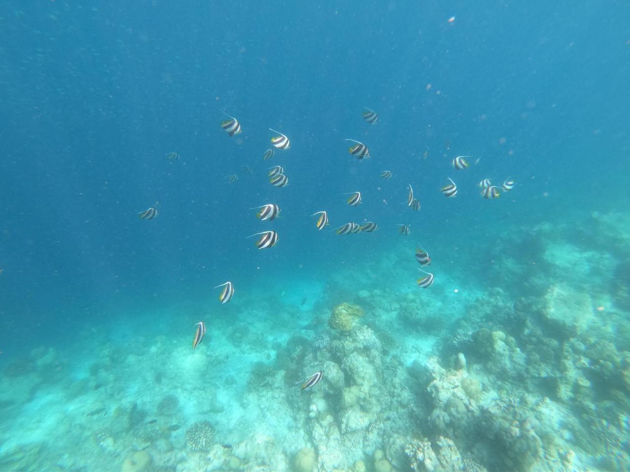 Sevinex Inn Feridhoo Kültér fotó