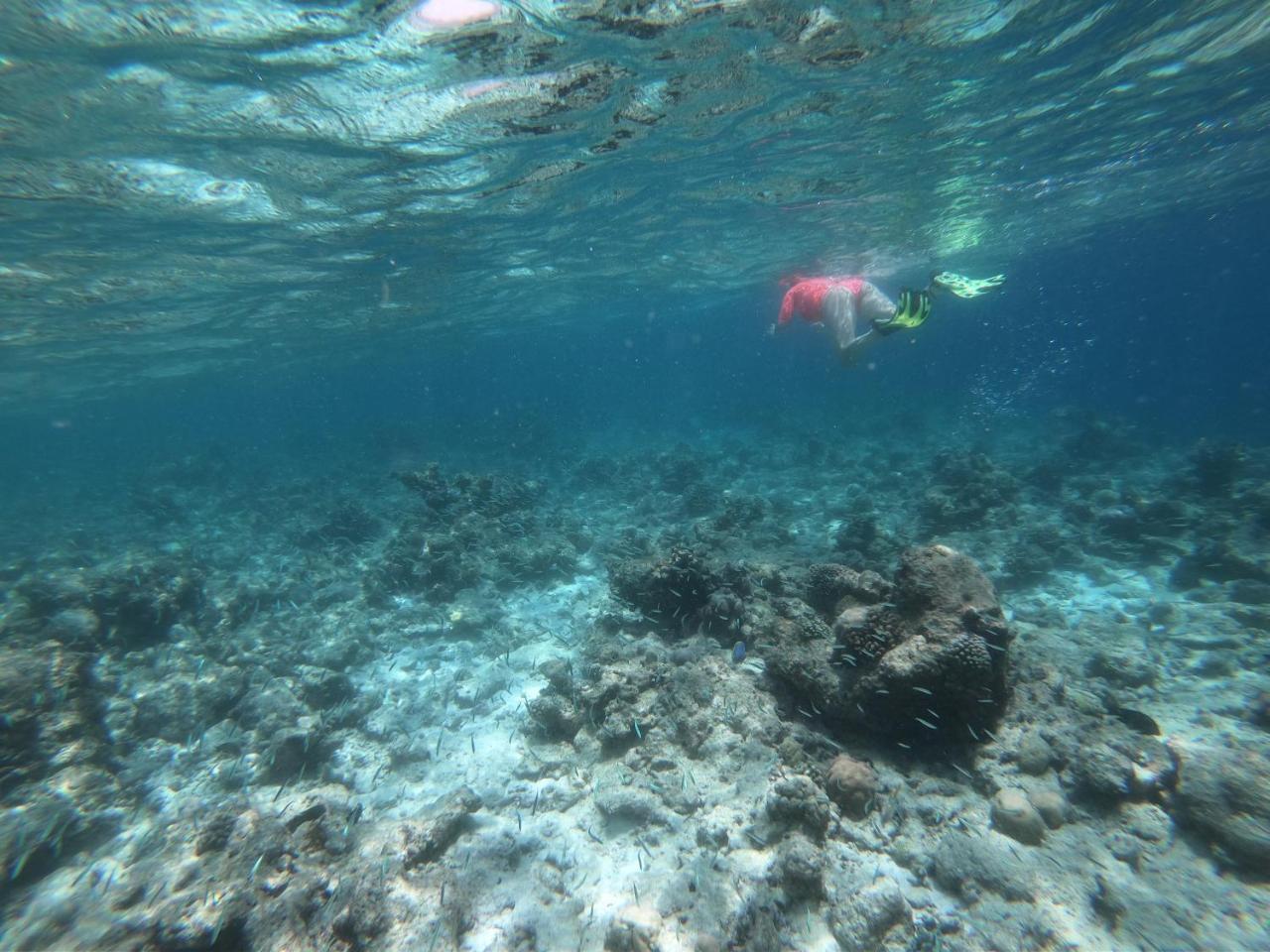 Sevinex Inn Feridhoo Kültér fotó